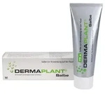 DERMAPLANT Salbe 75 g