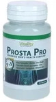 PROSTA PRO Quercetin+Zink+Selen+Vitamin B6 Kapseln 60 St