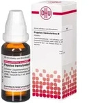 POPULUS TREMULOIDES Urtinktur 20 ml