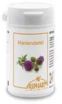MARIENDISTEL LEBERSCHUTZ Kapseln 60 St