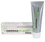 DERMAPLANT Salbe 25 g