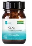 SAM S-ADENOSYLMETHIONIN Kapseln 60 St