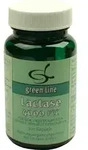 LACTASE 4.000 FCC Kapseln 28,7 g