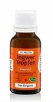 INGWERTROPFEN Dr.Muches 20 ml