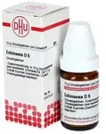 ECHINACEA HAB D 6 Globuli 10 g