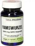 YAMSWURZEL 500 mg GPH Kapseln 60 St