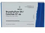 BRYOPHYLLUM D 5/Conchae D 7 Ampullen 48X1 ml