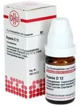 BRYONIA D 12 Globuli 10 g