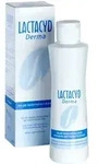 LACTACYD Derma Waschsyndet 250 ml