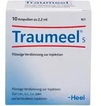 TRAUMEEL S Ampullen 10 St