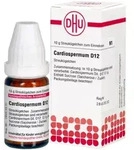 CARDIOSPERMUM D 12 Globuli 10 g
