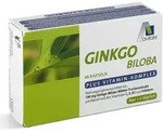 GINKGO 100 mg Kapseln+B1+C+E 48 St