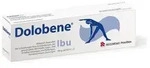 DOLOBENE Ibu Gel 100 g