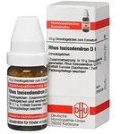 RHUS TOXICODENDRON D 6 Globuli 10 g