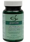 LAKTASE 12.000 FCC Kapseln 26,1 g
