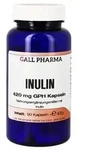 INULIN 420 mg GPH Kapseln 90 St