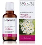 GEMMO-MAZERAT wolliger Schneeball Dr.Koll Vib.Tro. 50 ml