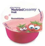 NUTRINI Creamy Fruit Beerenfr&uuml;chte 4X100 g