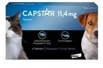 CAPSTAR 11,4 mg Tabletten f.Katzen/kleine Hunde 6 St