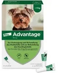 ADVANTAGE 40 L&ouml;sung f.Hunde bis 4 kg 4 St