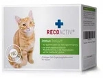 RECOACTIV Immun Tonicum Kurpackung f.Katzen 3X90 ml