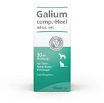 GALIUM COMP.-Heel ad us.vet.Tropfen 30 ml