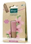 KNEIPP Lippenpflege Hautzart Mandel Candelilla 1 St
