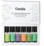 &Auml;THERISCHE &Ouml;le Set naturrein Top 6 Aromatherapie 60 ml