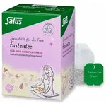 FASTENTEE Bio Salus Filterbeutel 15 St