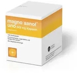 MAGNO SANOL uno 243 mg Kapseln 100 St
