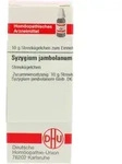 SYZYGIUM JAMBOLANUM D 6 Globuli 10 g