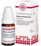 SECALE CORNUTUM D 12 Globuli 10 g