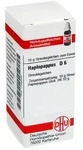 HAPLOPAPPUS D 6 Globuli 10 g