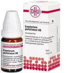 EUPATORIUM PERFOLIATUM D 6 Globuli 10 g