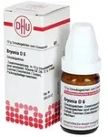 BRYONIA D 6 Globuli 10 g