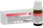 Dr. Reckeweg Echinacea Angustifolia D6 10 g