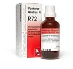 Dr. Reckeweg Pankreas-Gastreu&reg; N R72 50 ml