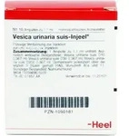 VESICA URINARIA suis-Injeel Ampullen 10 St