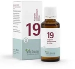 BIOCHEMIE Pfl&uuml;ger 19 Cuprum arsenicosum D 6 Tropf. 30 ml