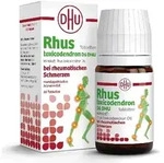 RHUS TOXICODENDRON D 6 Tabl.bei rheumat.Schmerzen 80 St