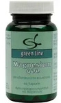 MAGNESIUM 400 Kapseln 34,3 g