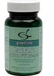 LACTASE 4.000 FCC Enzym Kapseln 28,7 g
