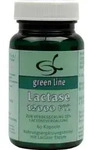 LACTASE 12.000 FCC Kapseln 60 St