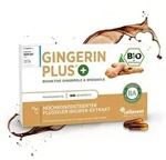 GINGERIN PLUS Kapseln 60 St