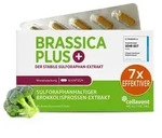 BRASSICA PLUS Kapseln 30 St