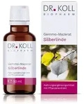GEMMO-MAZERAT Silberlinde Dr.Koll Tilia tomen.Tro. 50 ml