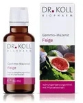 GEMMO-MAZERAT Feige Dr.Koll Ficus carica Tropfen 50 ml