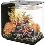 Oase 72029 biOrb FLOW 15 LED schwarz Aquarium 15 l mit LED-Beleuchtung