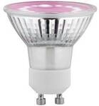 Paulmann LED-Pflanzenlampe Wachstum 230 V GU10 3.5 W Bernstein 1 St. 28974