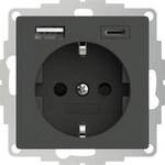 2USB 2U-449542 Schutzkontakt-Steckdose mit USB-Ladeausgang, erh&ouml;hter